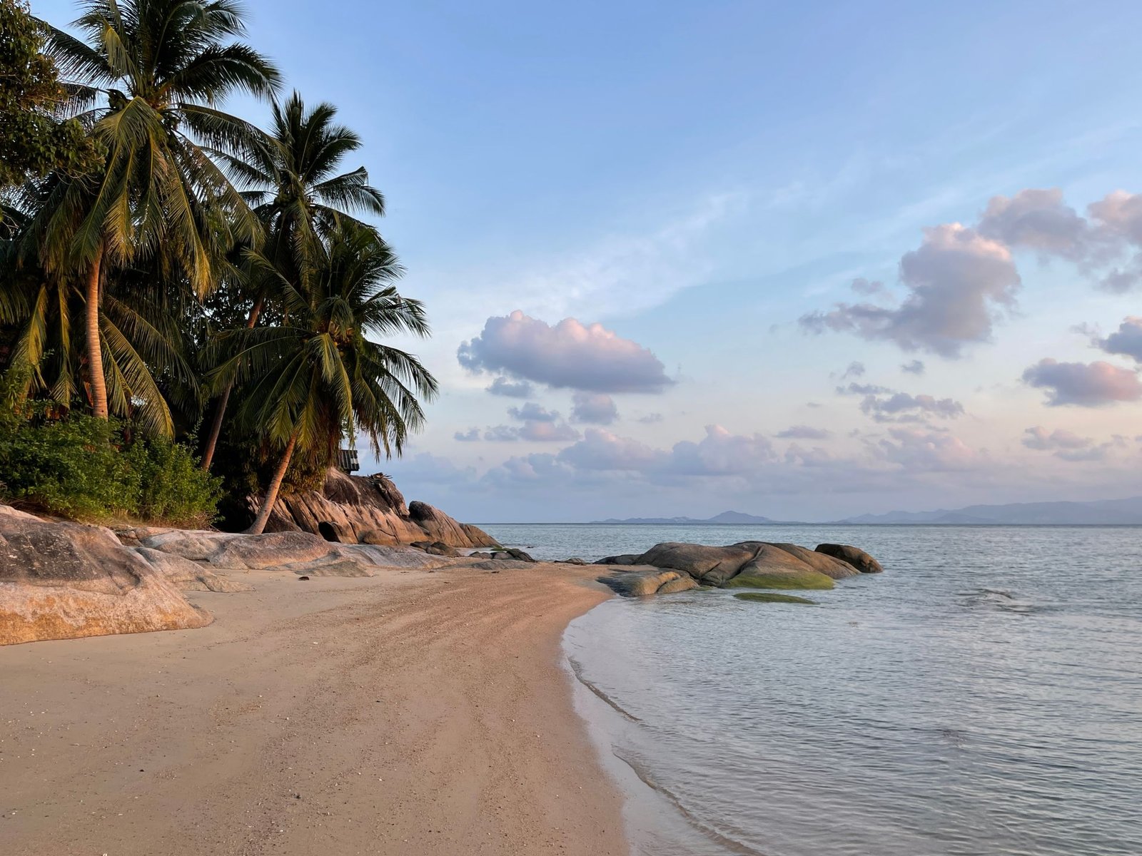 Palm trees and rocks on a Koh Samui beach